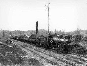 logger steam train