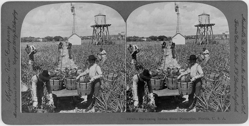 stereograph_05